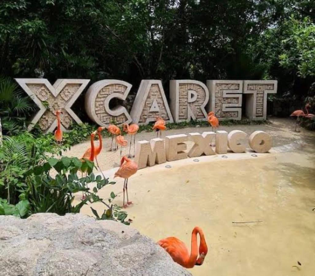 Casa Marene Apartment Puerto Morelos Ngoại thất bức ảnh